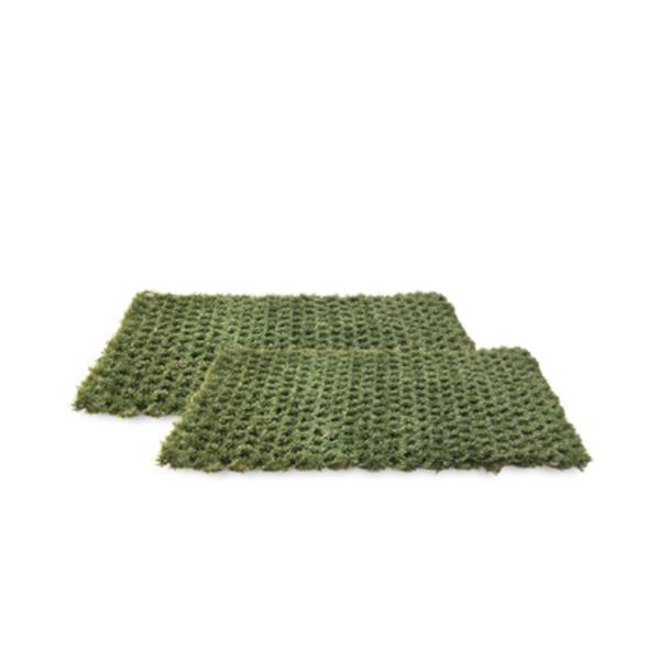 Kit de coussin d'herbe