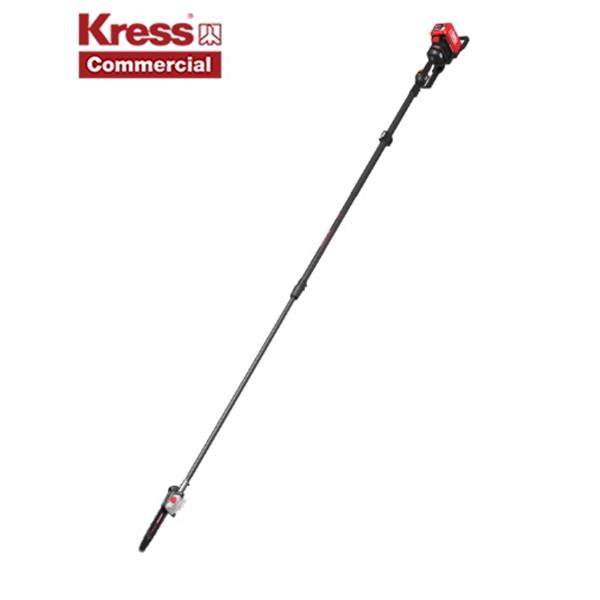 Tronçonneuses Élagueuse sur perche 25cm 60V