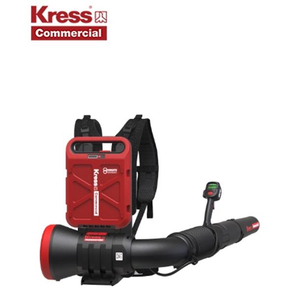 Souffleur de feuilles dorsal 60V